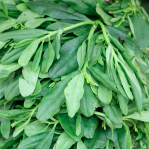 Water Leaves - per box